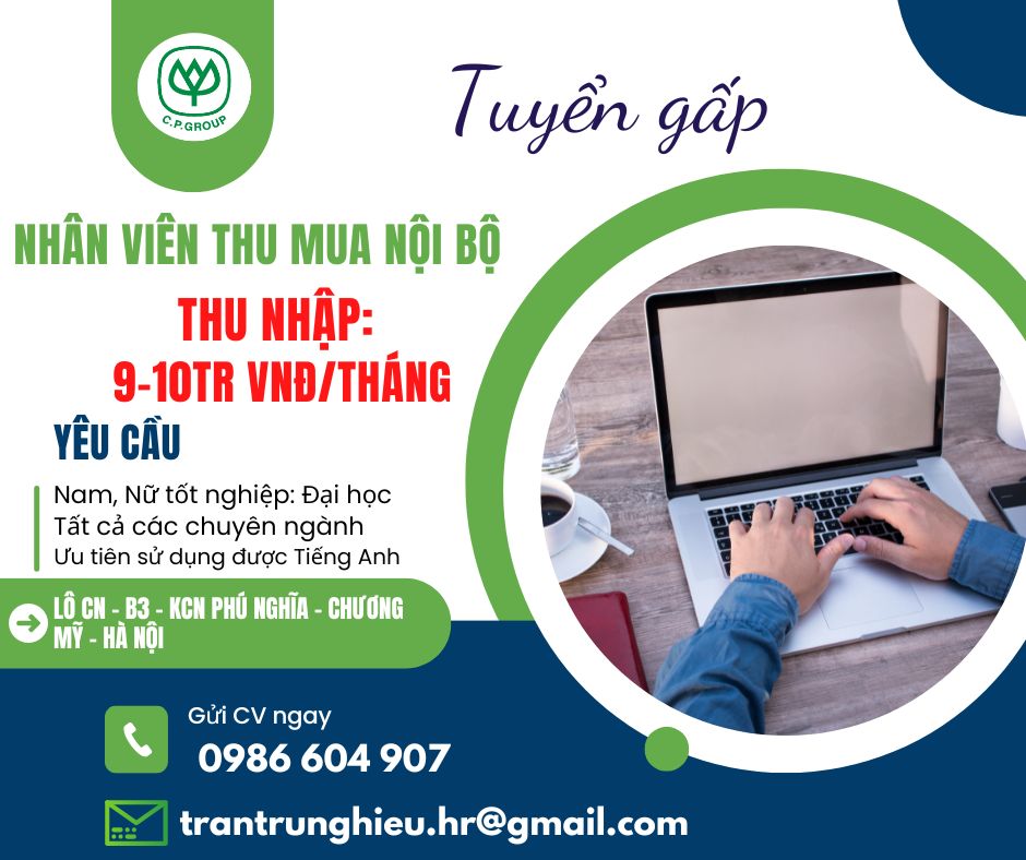 lĩnh vực hoạt động